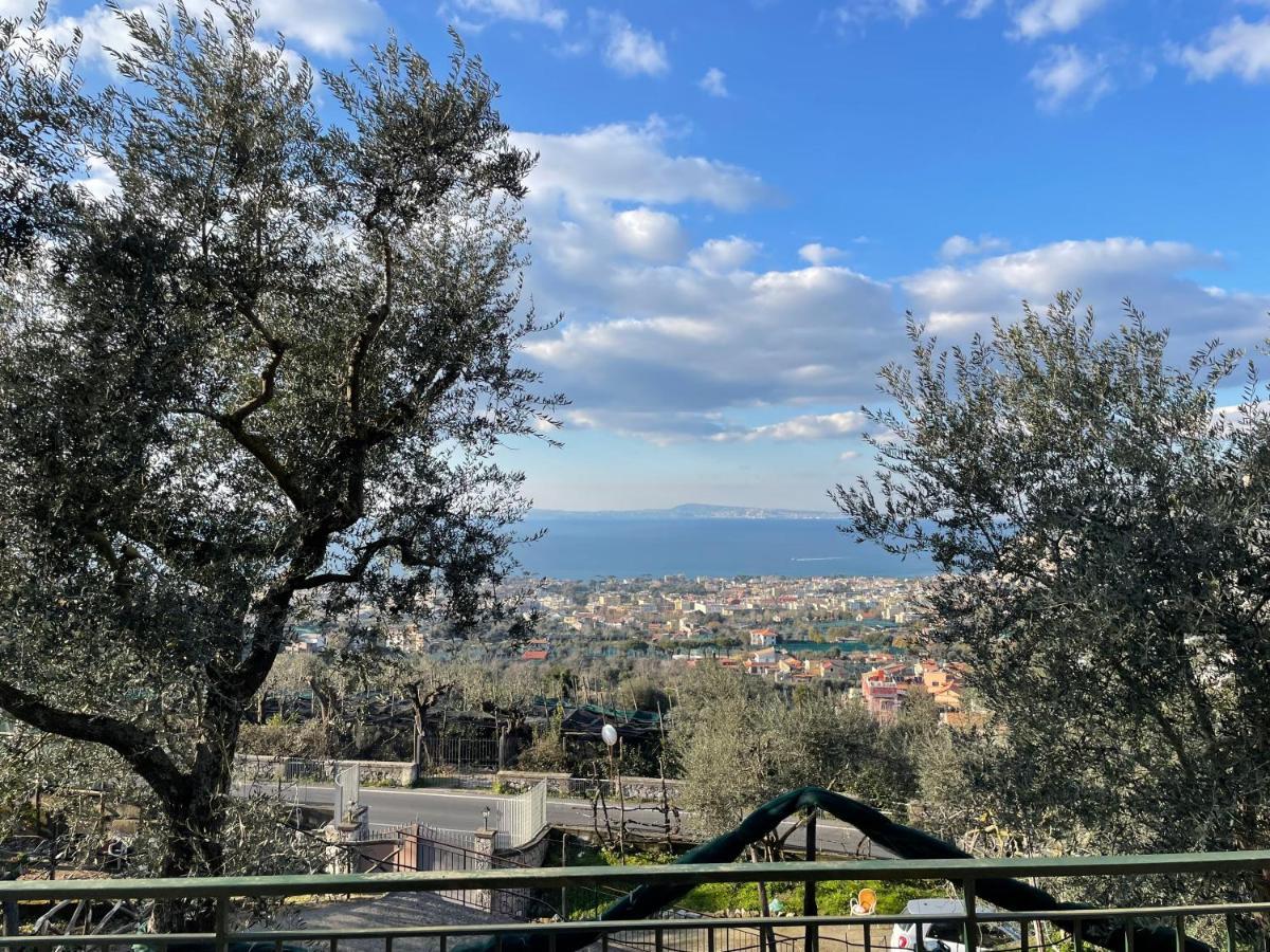 Sky View Villa Piano di Sorrento Exterior foto